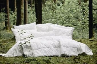 Mömax Bettdecke green concept Angebot