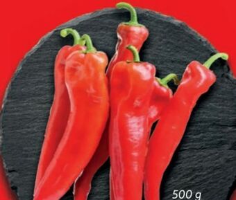 Lidl Spitzpaprika Angebot