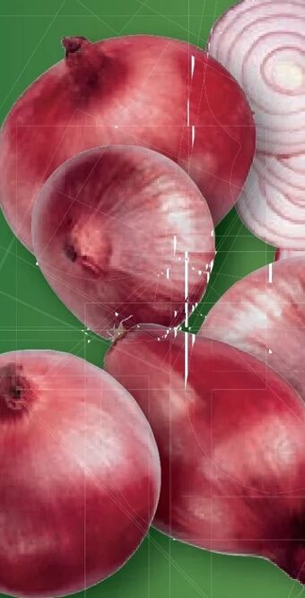 Lidl Zwiebel Angebot