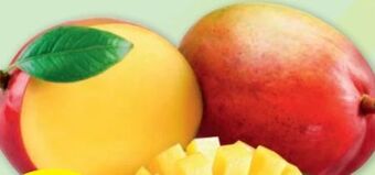 PENNY Essreife mango Angebot