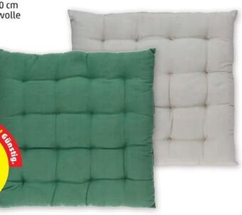 PENNY Sitzkissen Angebot