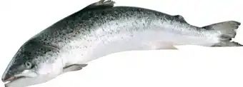 Transgourmet Lachs 3-4kg Ausgenommen 4 kg Angebot