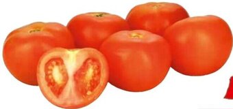 Transgourmet Tomaten KL. 1 Angebot