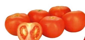 Transgourmet Tomaten Angebot