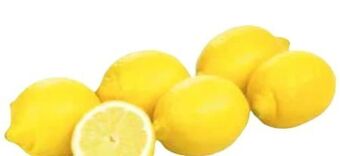 Transgourmet Zitronen Angebot