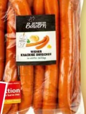 Norma Wiener knackige burschen Angebot
