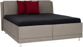 XXXLutz Polsterbett 200/210 cm in schlammfarben Angebot
