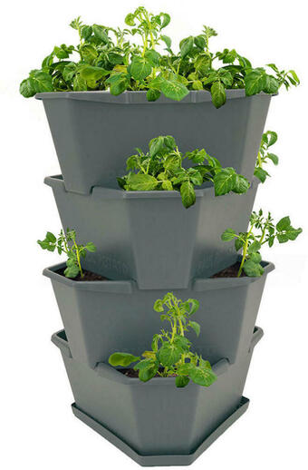 XXXLutz Gusta garden pflanzentopf Angebot