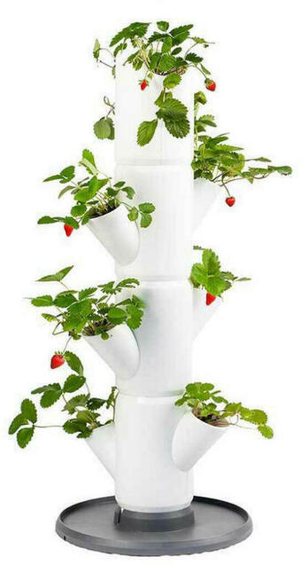 XXXLutz Gusta garden pflanzentopf Angebot