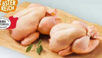 Billa Hühner bratfertig Angebot