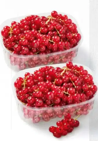 Billa Ribiseln Angebot