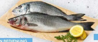 Billa Premium goldbrasse Angebot