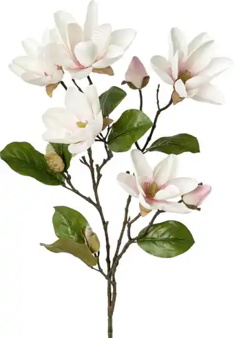 Mömax Kunstpflanze magnolie in hellrosa Angebot