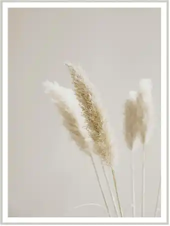 Mömax Keilrahmenbild flora ca. 63x83cm Angebot