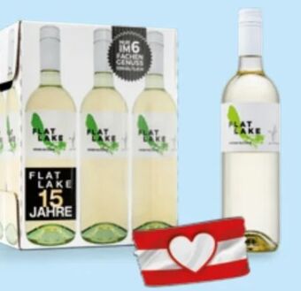 Hofer Grüner veltliner reserve Angebot