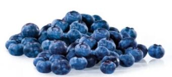 Hofer Heidelbeeren Angebot