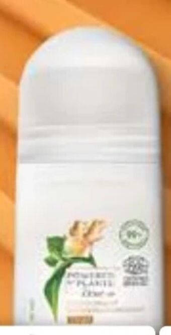 Bipa Deo roll-on Angebot