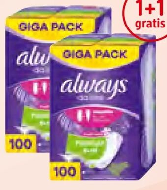 dm Slipeinlagen Angebot