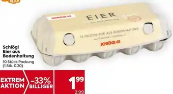 Billa Schlögl Eier aus Bodenhaltung 10 Stk. Angebot