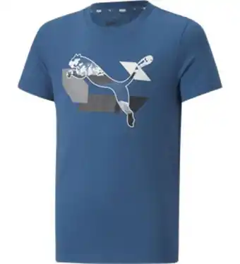 Hervis Alpha graphic Angebot