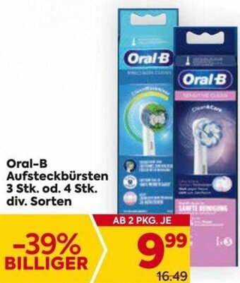 Billa Oral-B Aufsteckbürsten Angebot