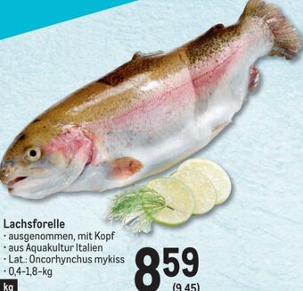 Metro Lachsforelle Angebot