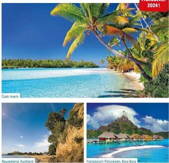 Lidl Reisen Transpazifik kreuzfahrt Angebot