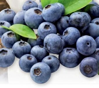 PENNY Heidelbeeren Angebot