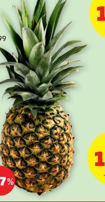 PENNY Ananas Angebot