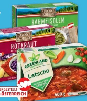 PENNY Rotkraut Angebot