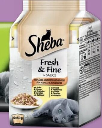 PENNY Sheba Katzenfutter-beutel Angebot