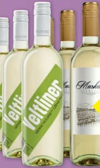 PENNY Grüner veltliner Angebot