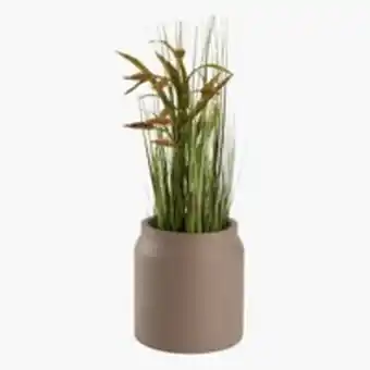 JYSK Pflanzku00fcbel storspove u00d824x26 grau Angebot