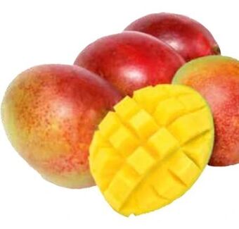 Transgourmet Essreife mango Angebot