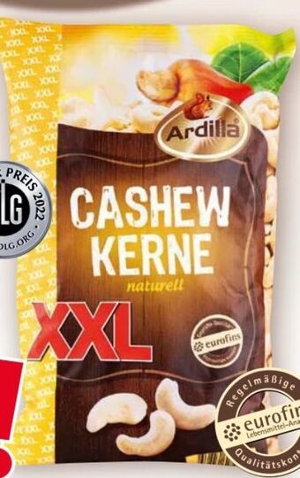 Norma Cashew kerne xxl Angebot
