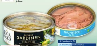 Norma Fisch spezialitäten Angebot