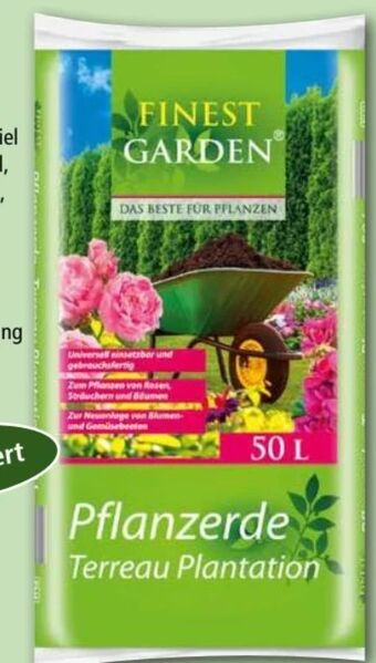 Norma Pflanzerde Angebot