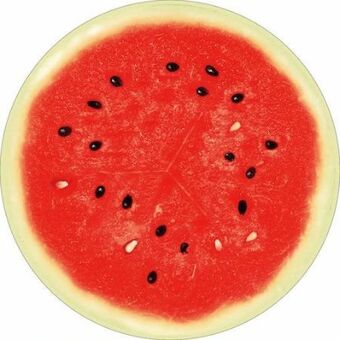 Möbelix Sitzkissen fruits Angebot