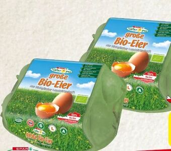 Spar Bio-eier Angebot