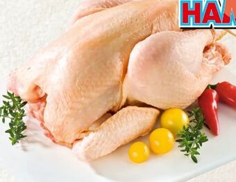 Spar Bio-freilandhendl Angebot