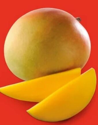 Hofer Iss reif! mango Angebot