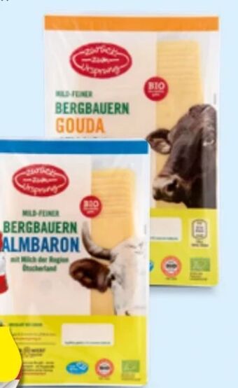 Hofer Bio-bergbauern käse Angebot