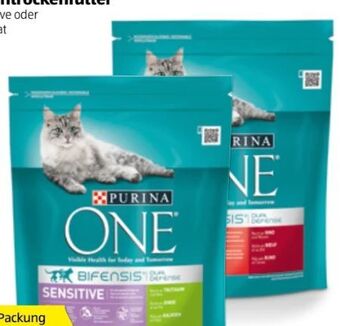 Hofer One katzentrockenfutter Angebot