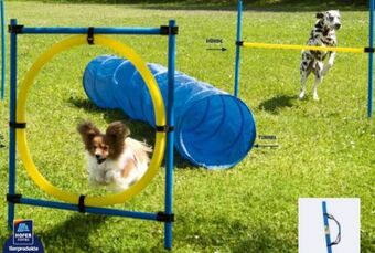 Hofer Agility-zubehör Angebot