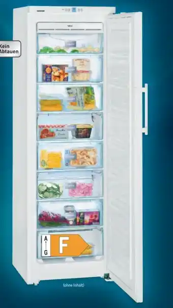 Metro Gefrierschrank gnw1860 Angebot