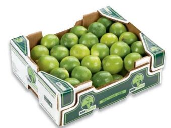 Metro Limetten Angebot