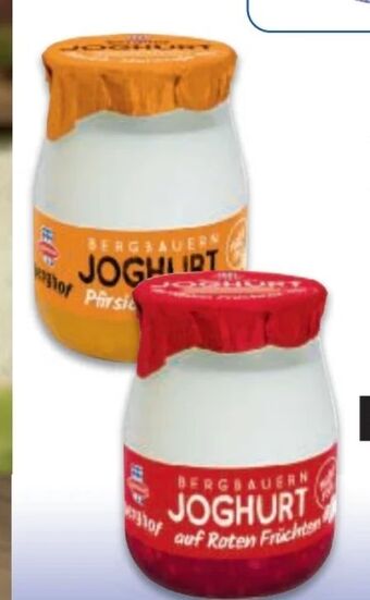 Metro Joghurt Angebot