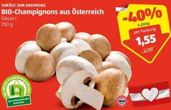Hofer Zurück Zum Ursprung Bio-Champignons aus Österreich 250 g Angebot