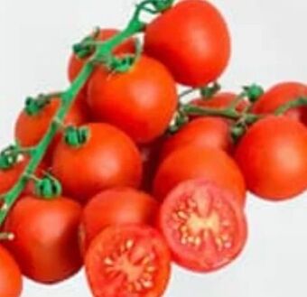 ETSAN Cherrytomaten Angebot
