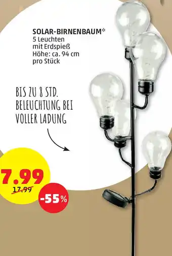 PENNY Solar-Birnenbaum Angebot